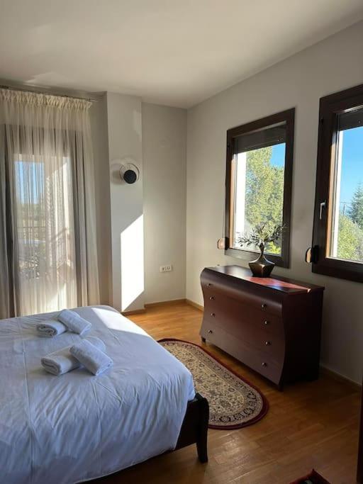 Villa_Kleio Литокорон Екстериор снимка