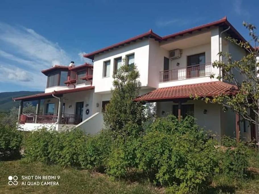 Villa_Kleio Литокорон Екстериор снимка
